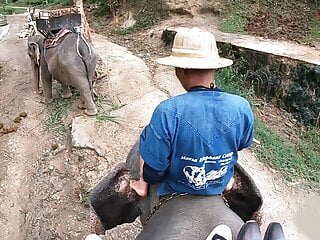 Elephant riding in Thailand with horny teen couple